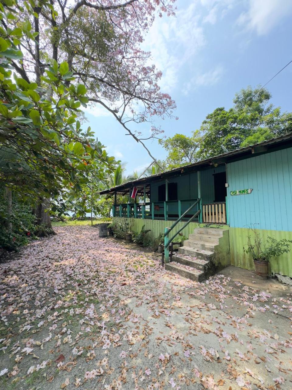 Casa Mamre Hostel Cahuita Exterior foto